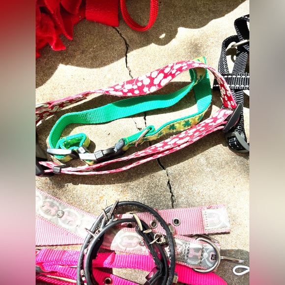 Pet accessories-select 4/$28 with discounted shipping. Build your own package! - Picture 14 of 16